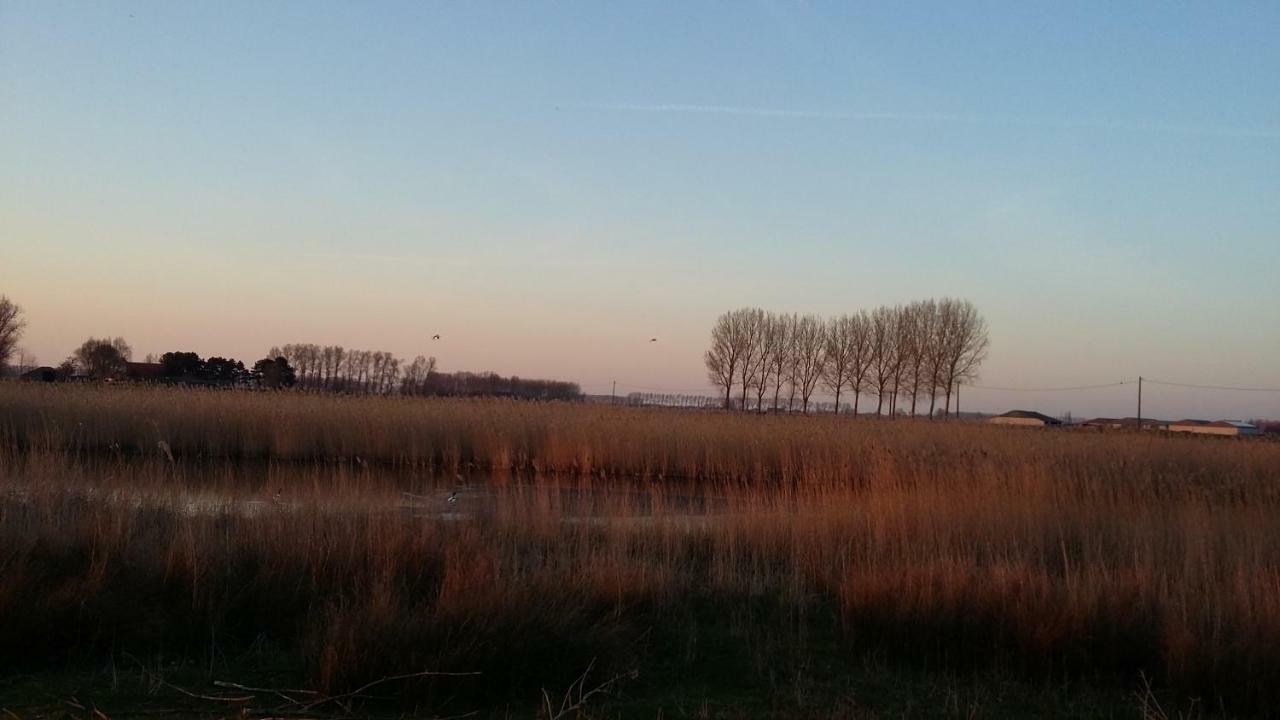 De Molenkreek Villa Sint-Margriete Dış mekan fotoğraf