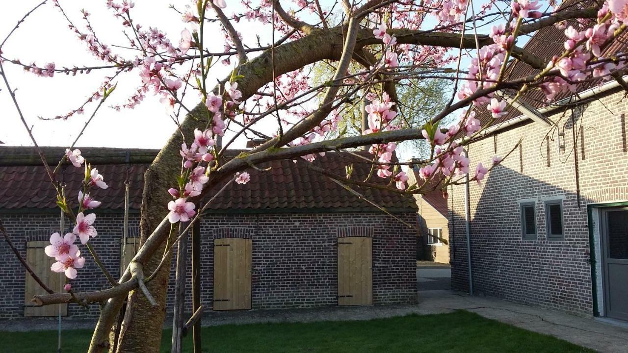 De Molenkreek Villa Sint-Margriete Dış mekan fotoğraf